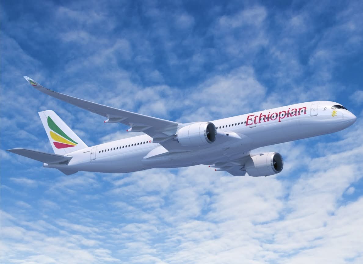 Ethiopian Airlines suspends flights to Tigray