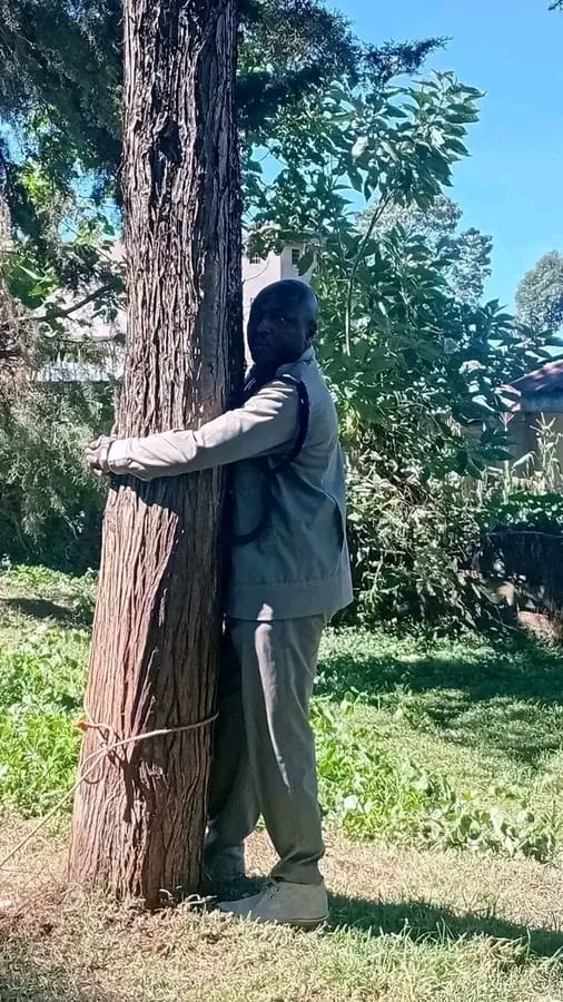 EXCLUSIVE:Senior Police Officer also joins tree hugging fashion