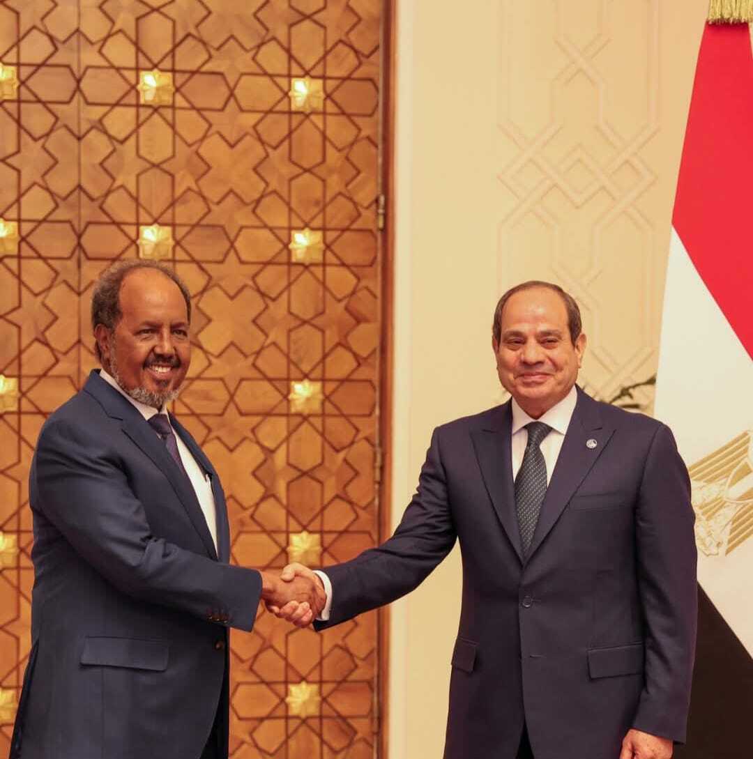 Egyptian, Somali leaders meet on Horn of Africa, Red Sea security