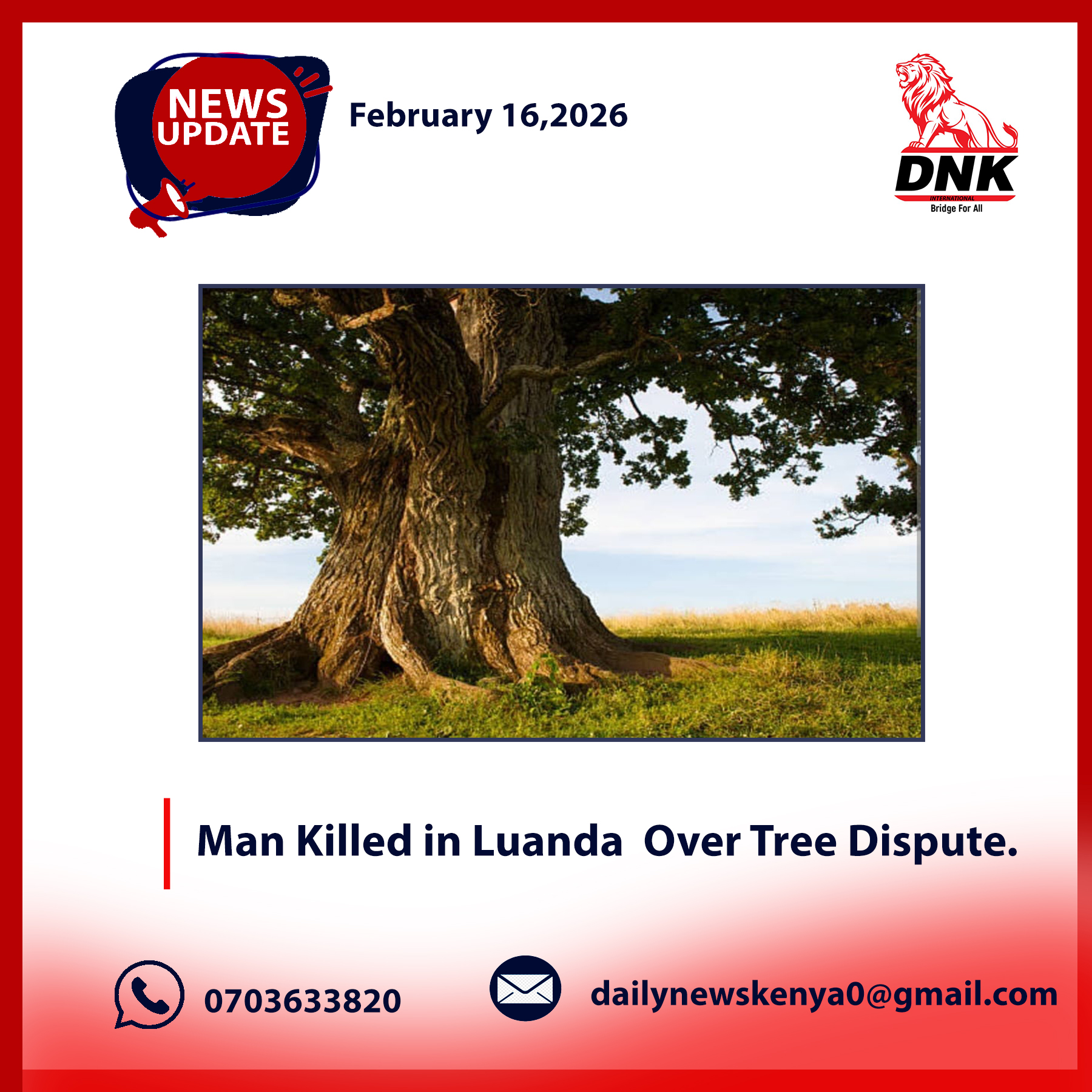 Man Killed in Luanda Over Tree Dispute