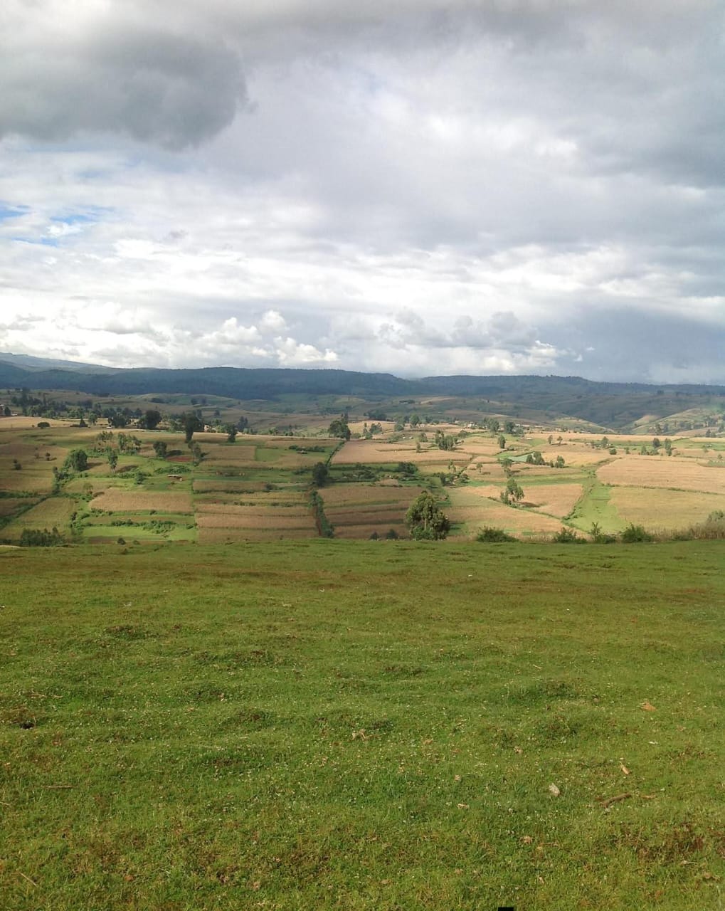 Woman Gang Raped in Mt. Elgon