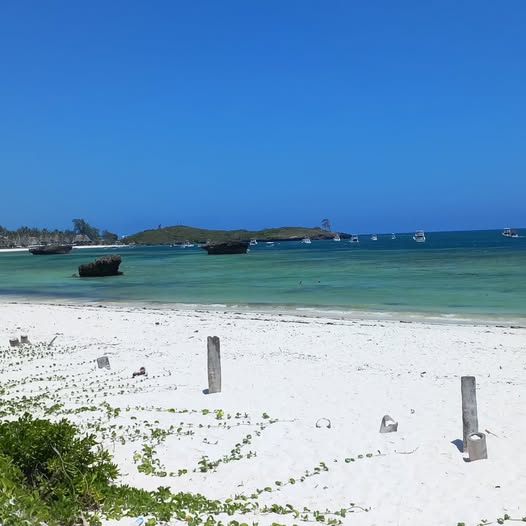 Police Rescue Juvenile from Forced Marriage Attempt in Witu, Two Suspects Arrested