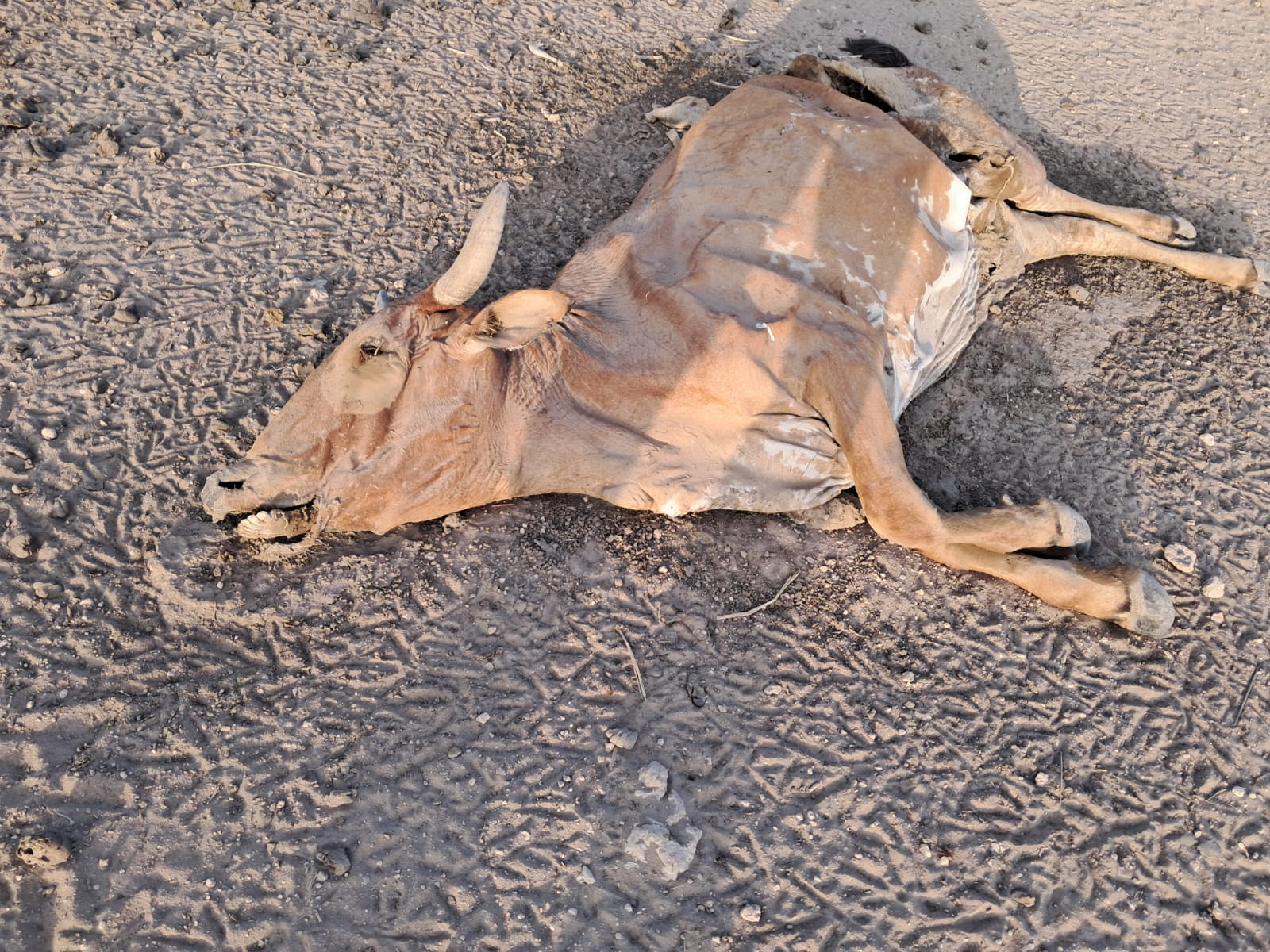 Focus on drought situation in the country