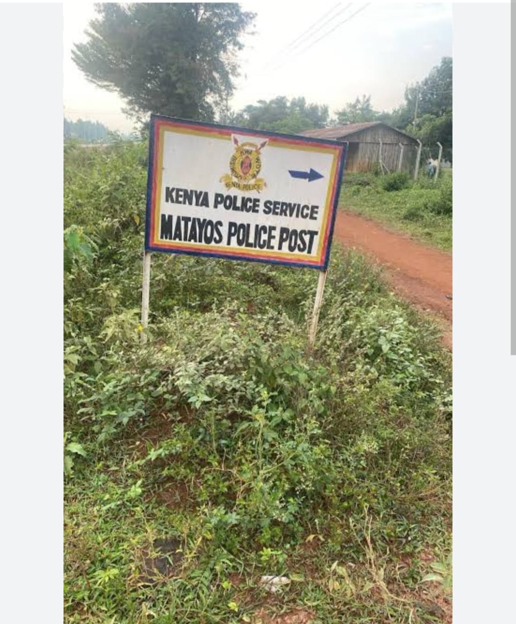 Two Arrested in Busia as Police Seize 140,000 Prohibited Polythene Bags.By Our Reporter,Busia
