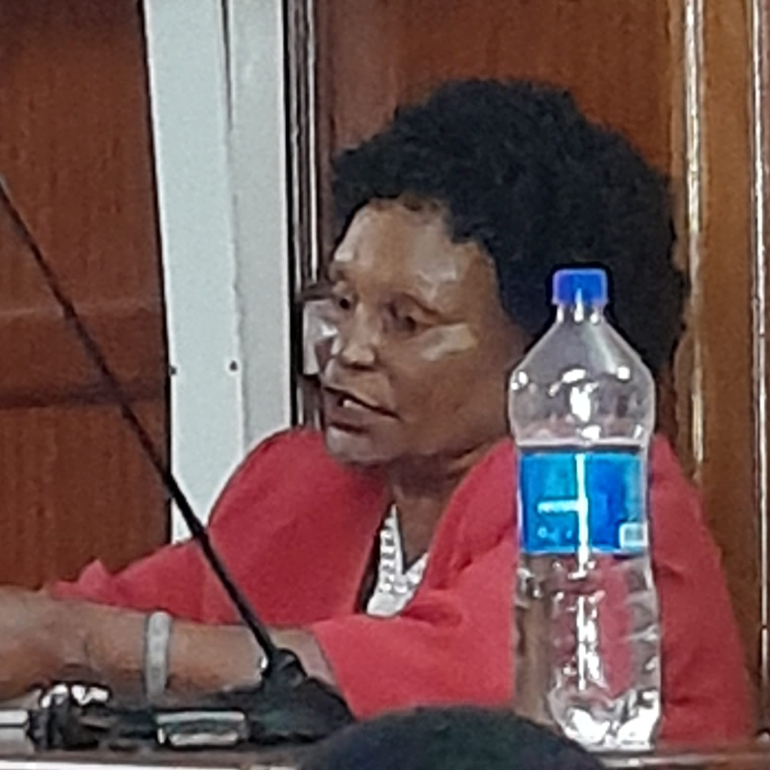 High Court Issues Summons Key Witness in Mbijiewe missing