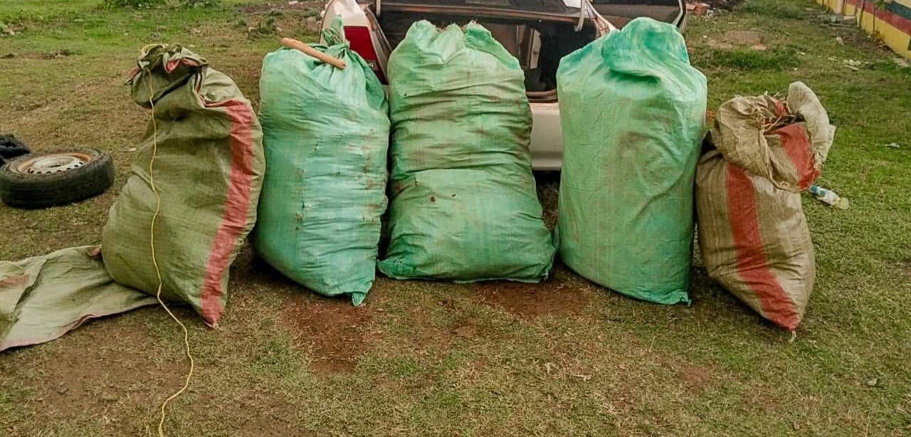 Mystery as 268kg of Cannabis Exhibit worth Sh8 Million Disappears from Court Store, Replaced with Sawdust in Busia