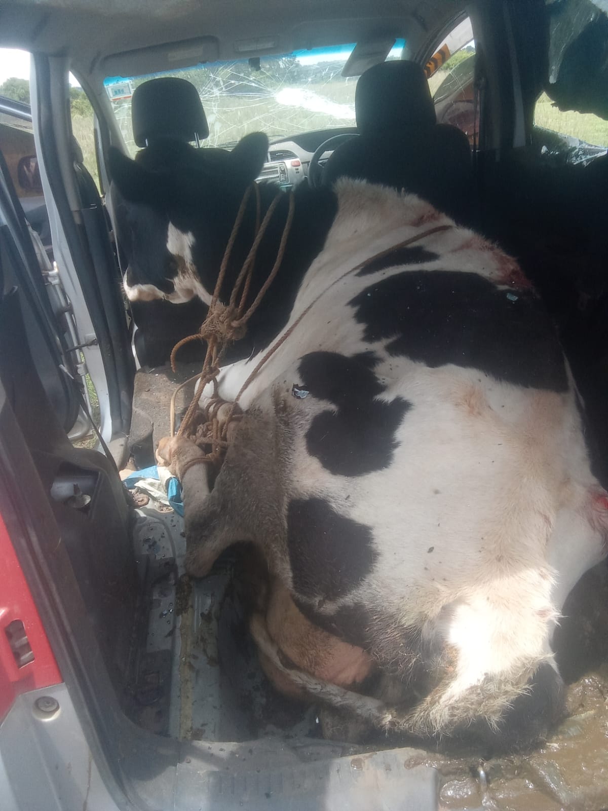 Suspected cattle thief nursing injuries after being burnt by mob