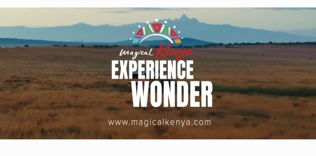 For Promotional Purposes