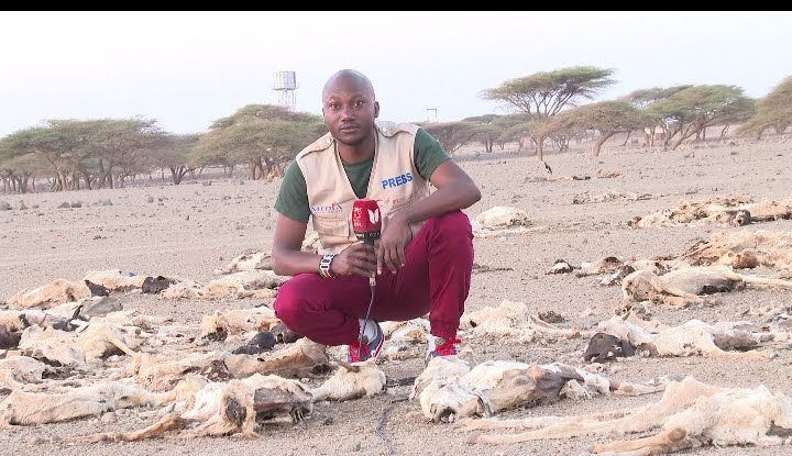 Ode Francis: Fearless in Pursuit of Truth