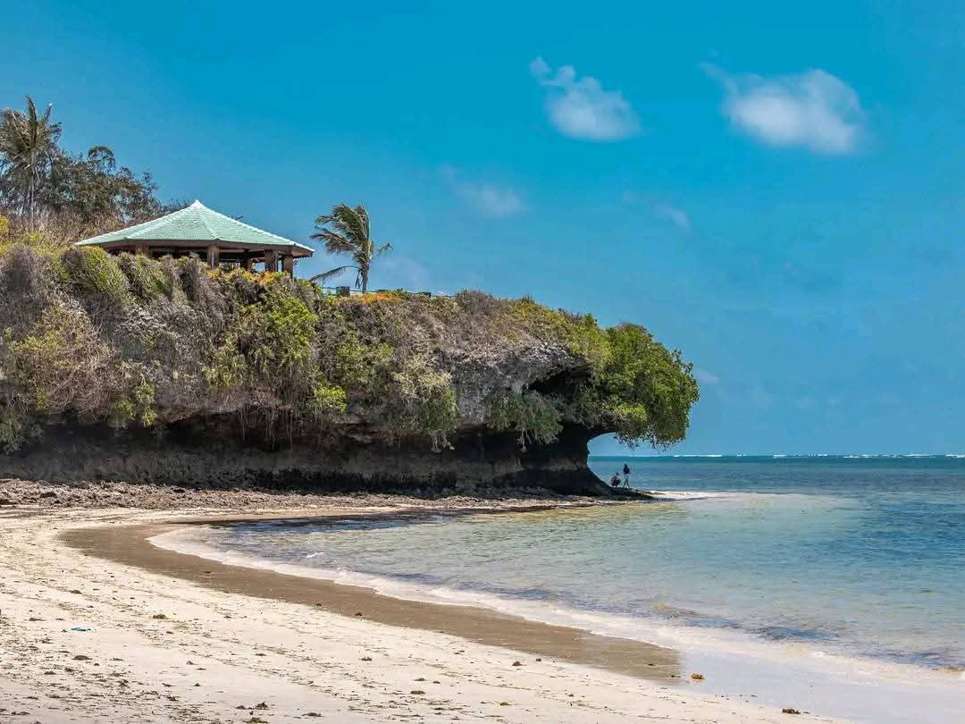 Tribunal stops the dismantling of a barge within the Indian Ocean