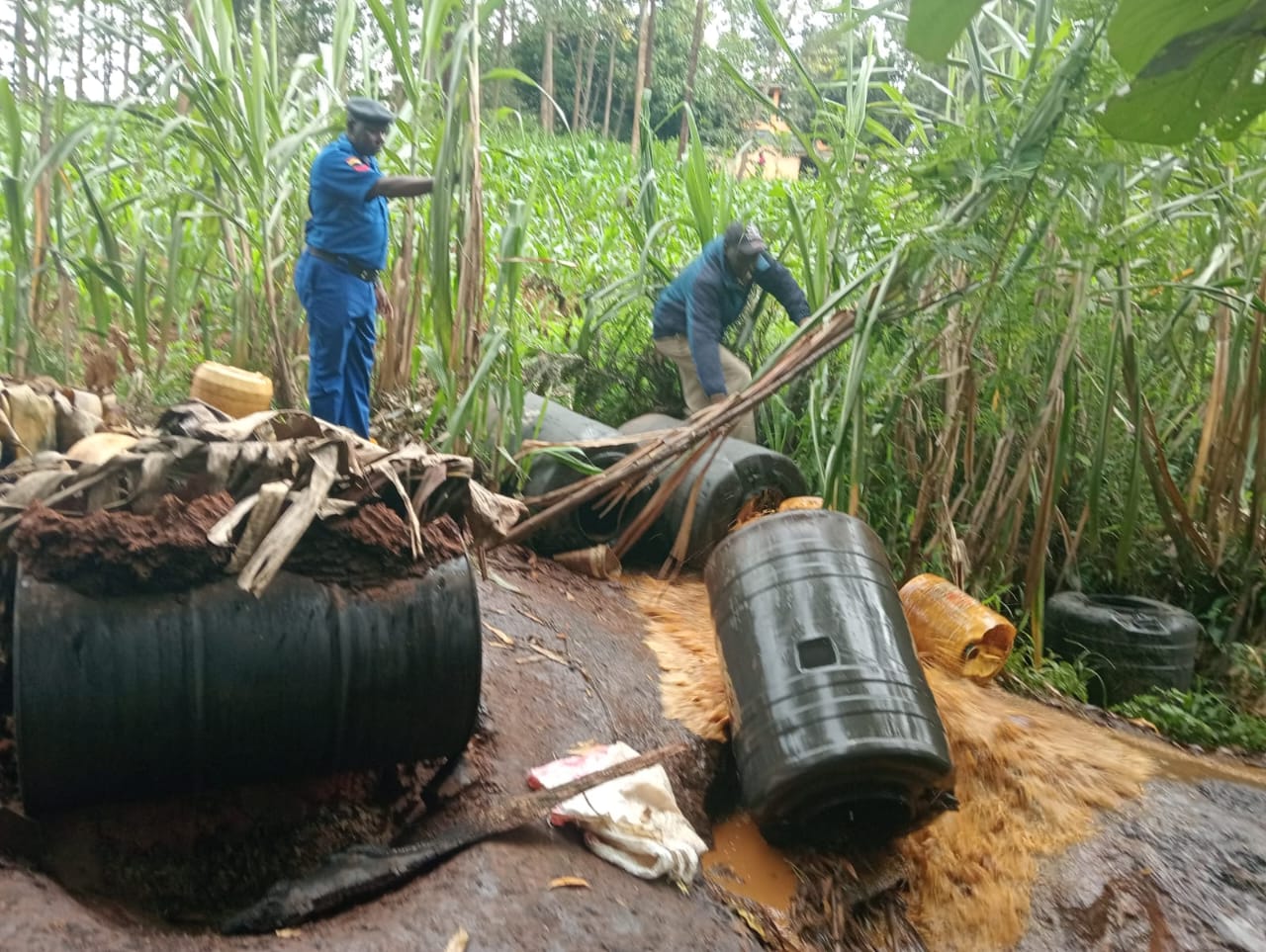 Police destroy 840 litres of Illicit brew in Kisii