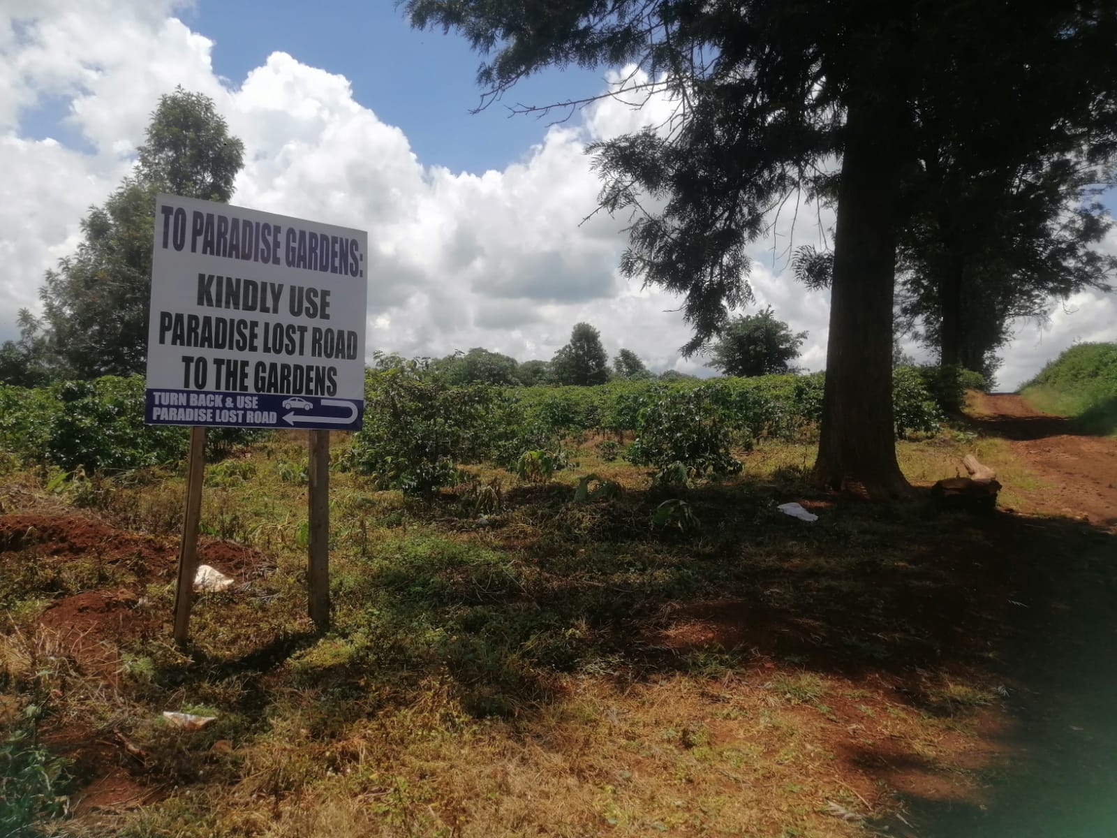 Family Cries Foul as Unknown Group Invades Iconic Paradise Lost land