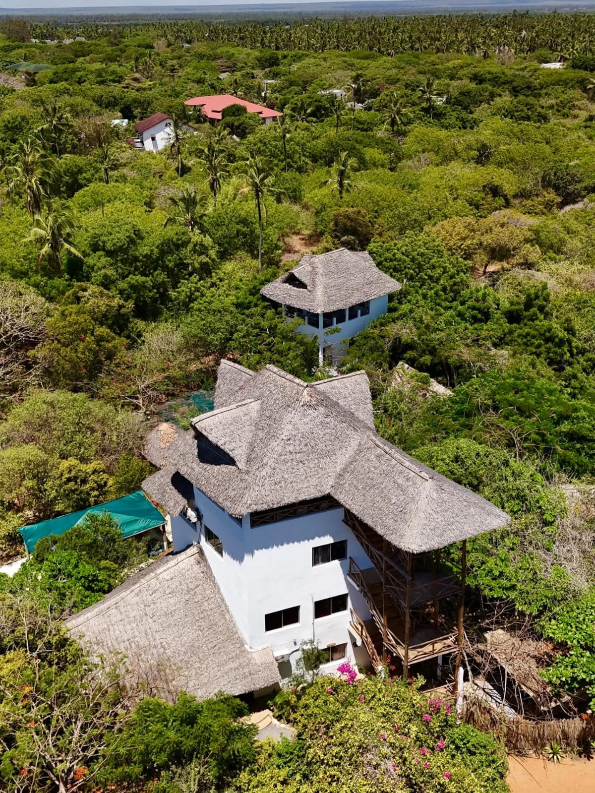 GBV WATCH:Tourist arrested in Watamu over sex abuse allegations