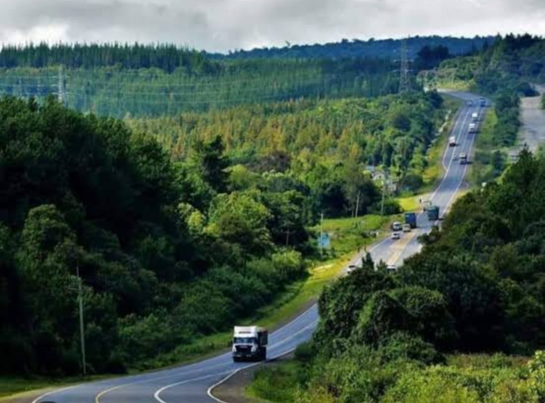 Burnt Forest:Five arrested as Police foil looting from lorry accident