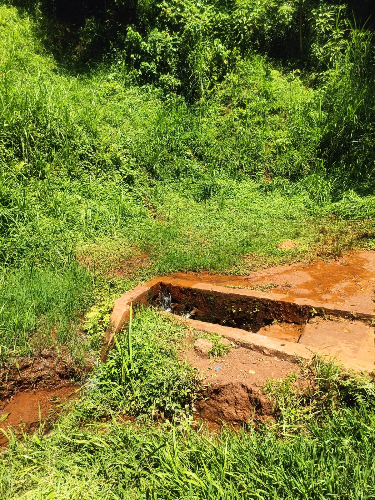 Residents cry out over snake menace as leaders go “missing” in action