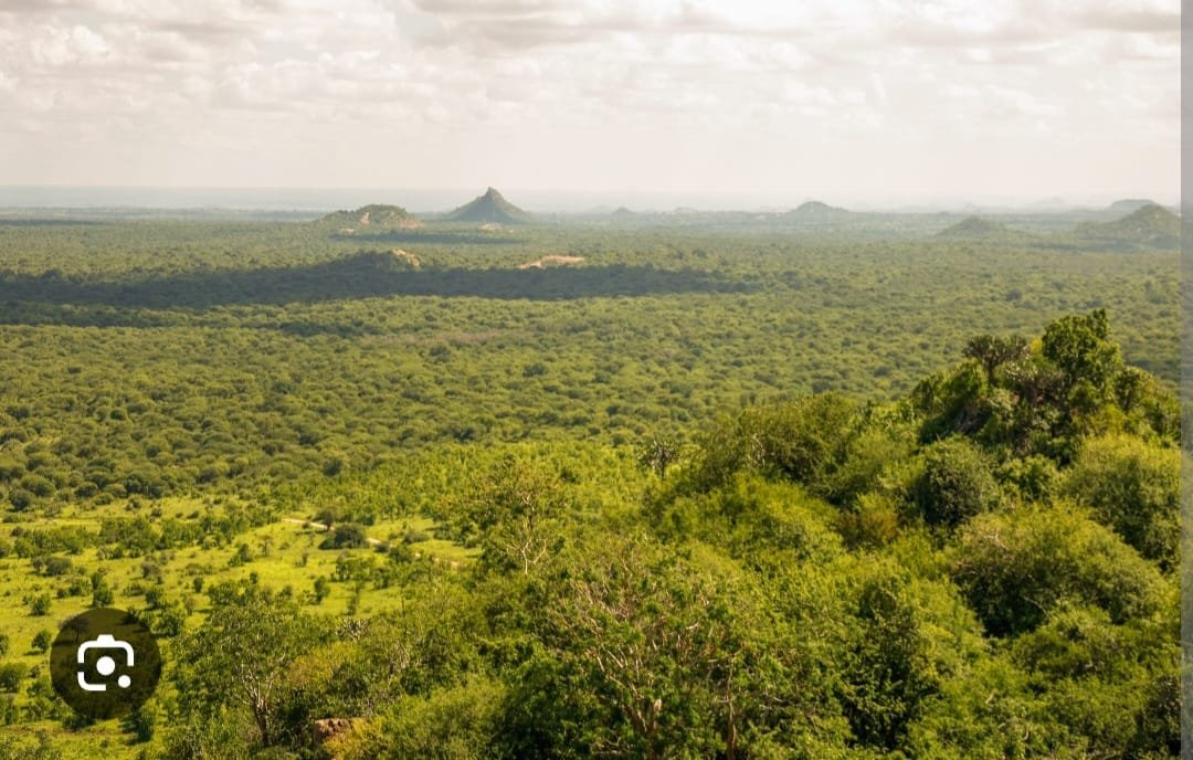 Court Stops Construction of State Lodge, Airstrip and Golf Course in Meru Forest