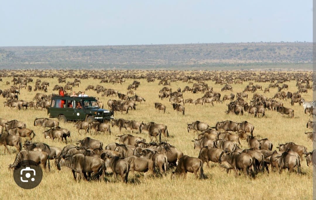 Russian Tourists Lose Property Worth KSh1.3 Million in Maasai Mara Camp Theft, Two Guards Arrested