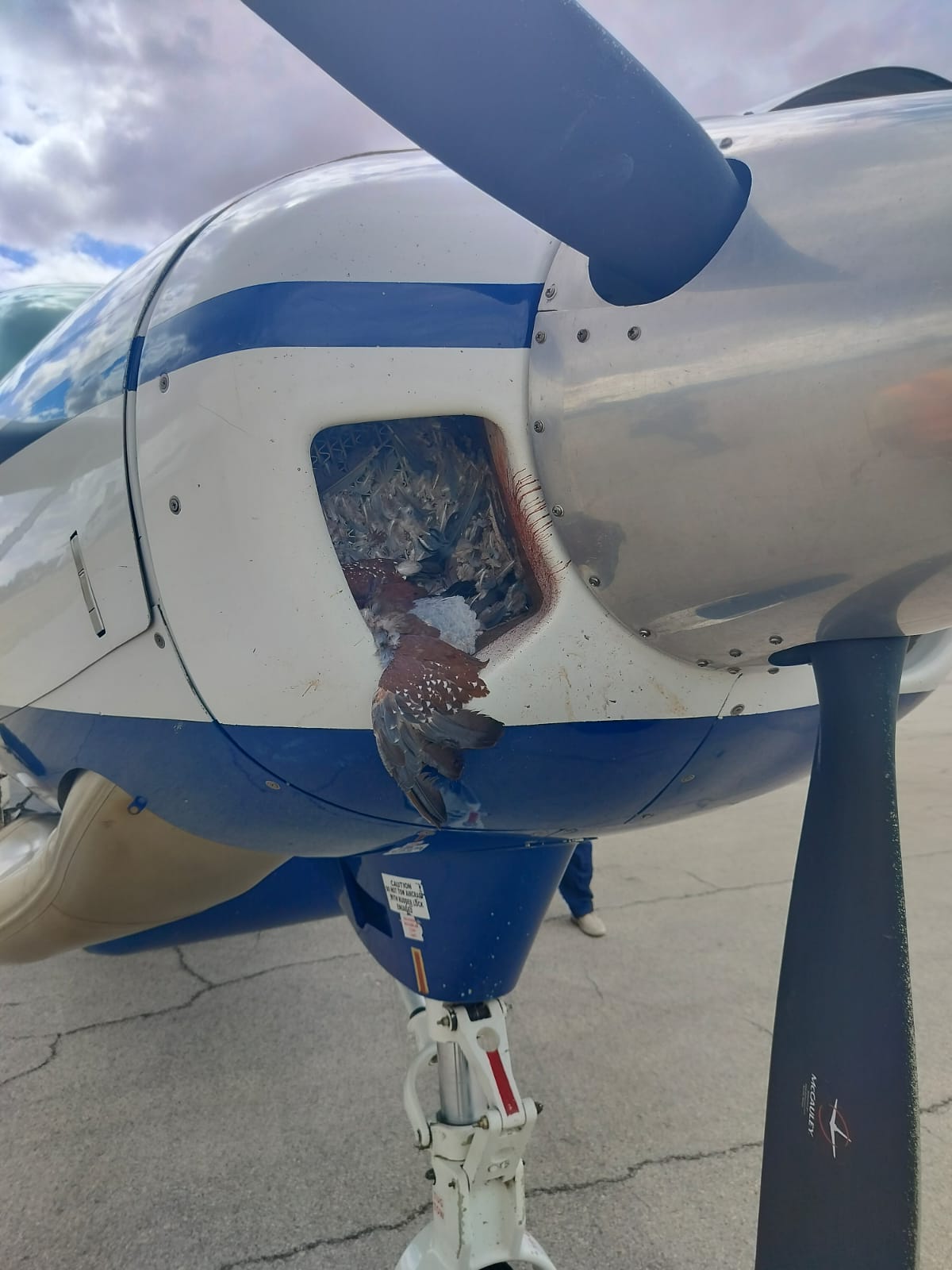 Police Aircraft Carrying IG Kanja Makes Emergency Return to Wajir After Bird Strike