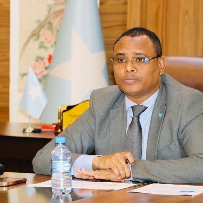 Somali Deputy Prime Minister Deported from Kenya Over Passport Fraud Allegations