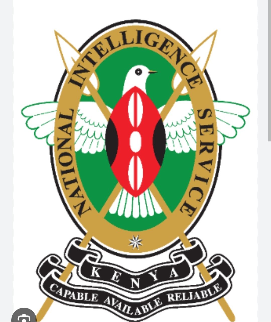 Five Suspects Charged Over Fake NIS Recruitment Scam