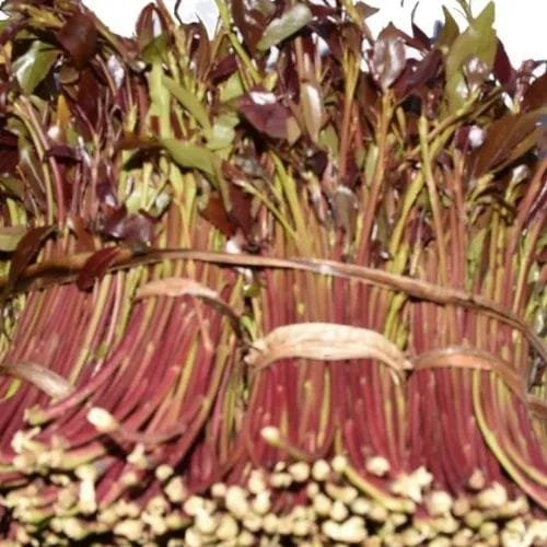 Somali Soldier Arrested After Crossing into Kenya to Buy Miraa
