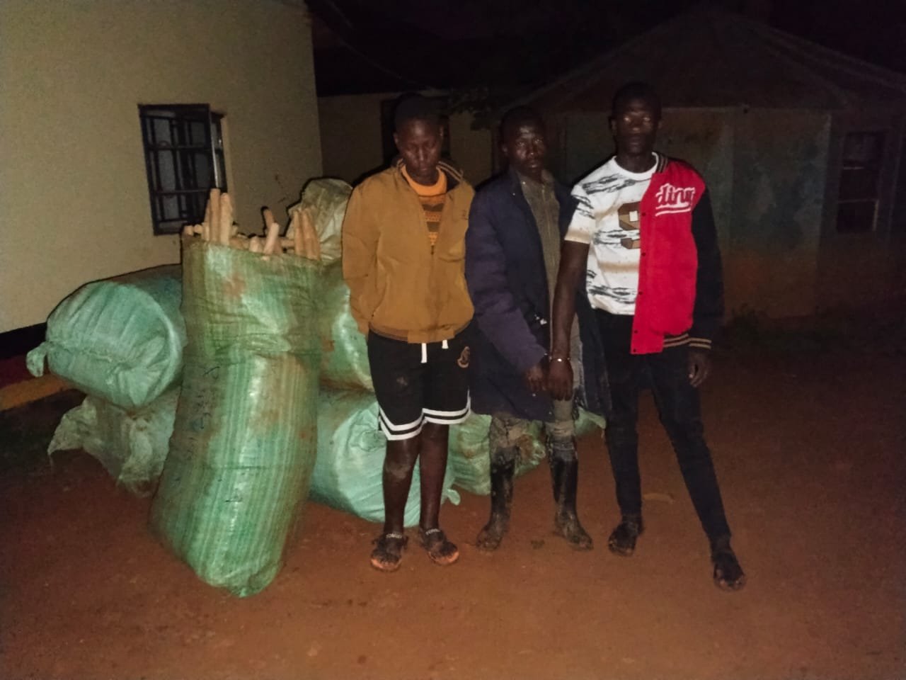 Busia Police Seize Bhang Worth Sh23.4 Million, Arrest Three
