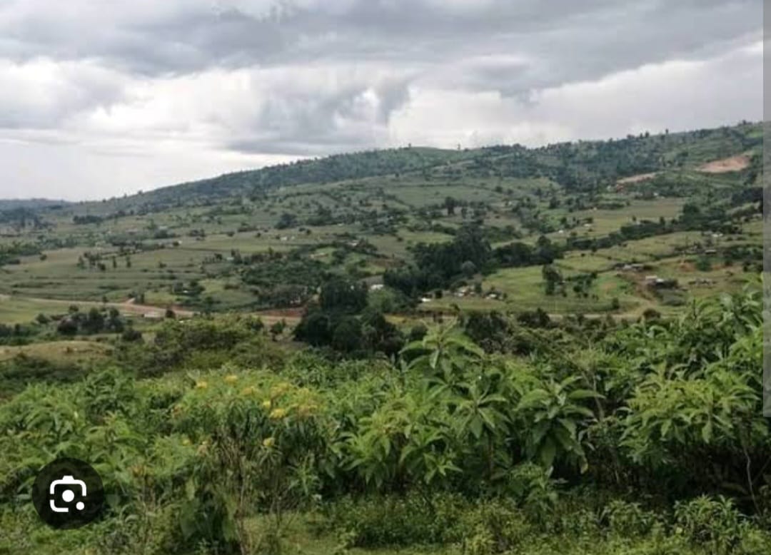 Arson,robbery reported at Suam Orchards in Trans Nzoia