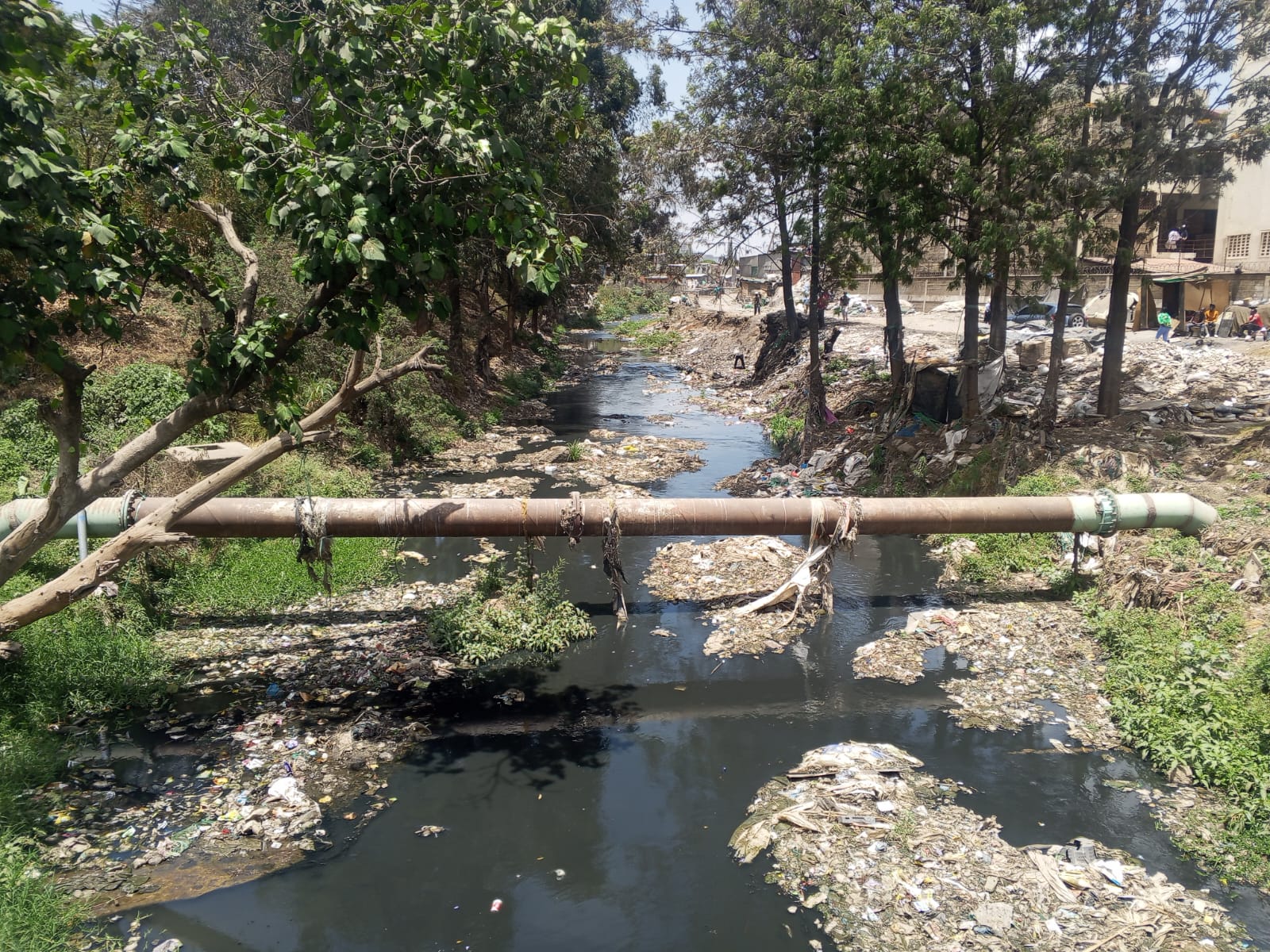 3,000 learners at risk as human activities threaten Ngong river schools